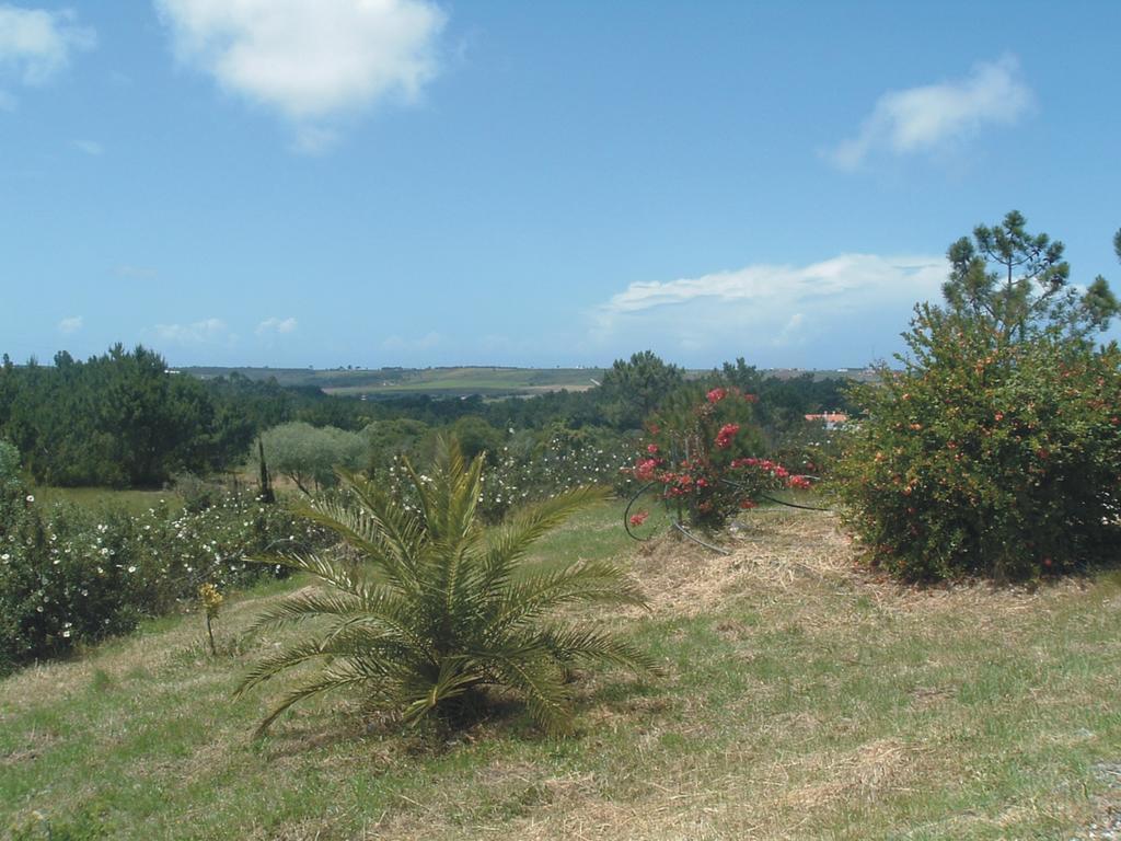 Monte Da Xara Villa Aljezur Eksteriør bilde