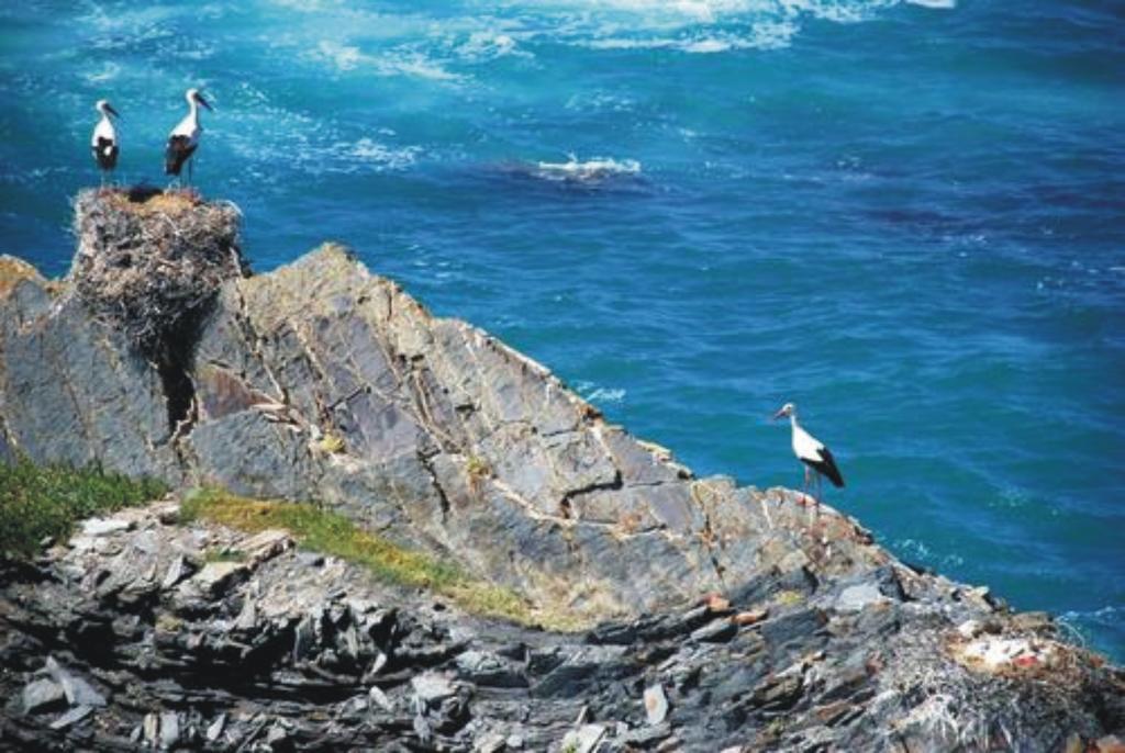 Monte Da Xara Villa Aljezur Eksteriør bilde